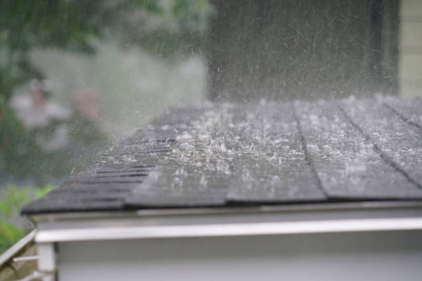 Best Roof Leak Repair  in Lake Katrine, NY